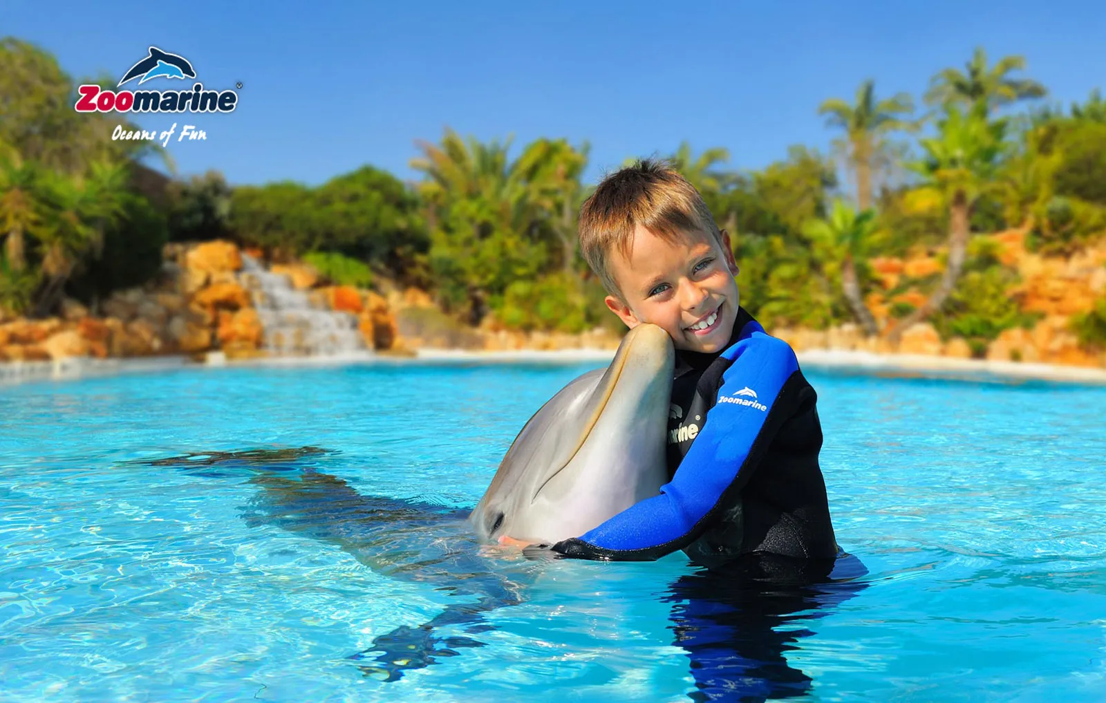 go swimming with the dolphins at zoomarine algarve portugal