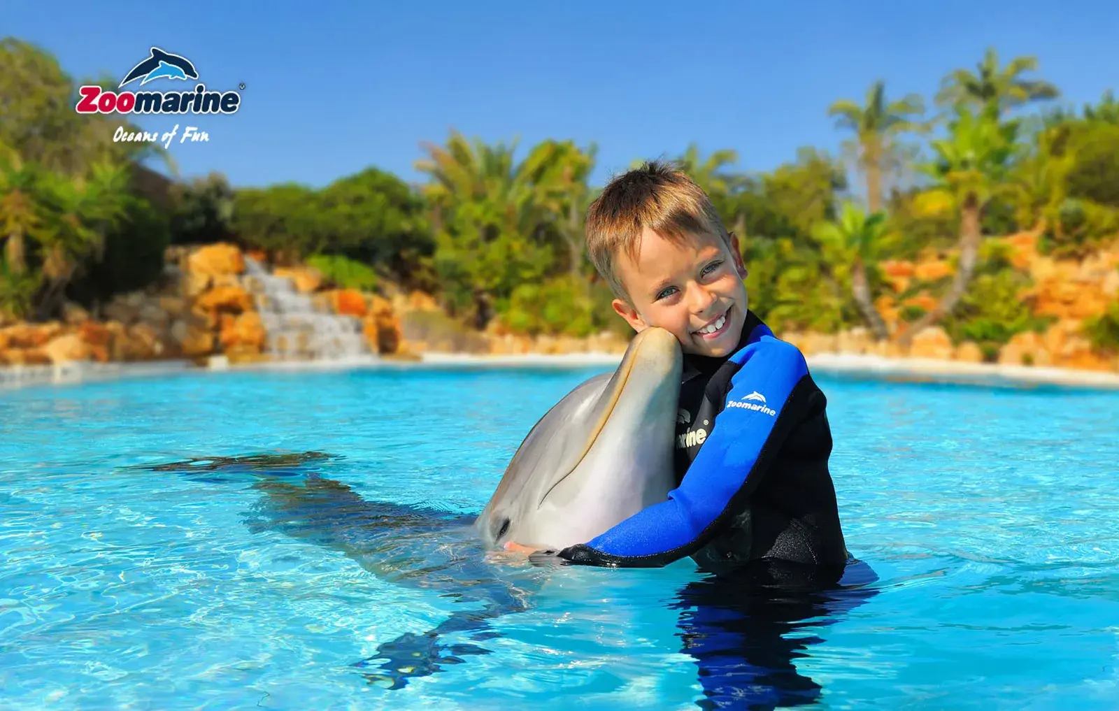 young boy swimming with dolphins at zoomarine algarve